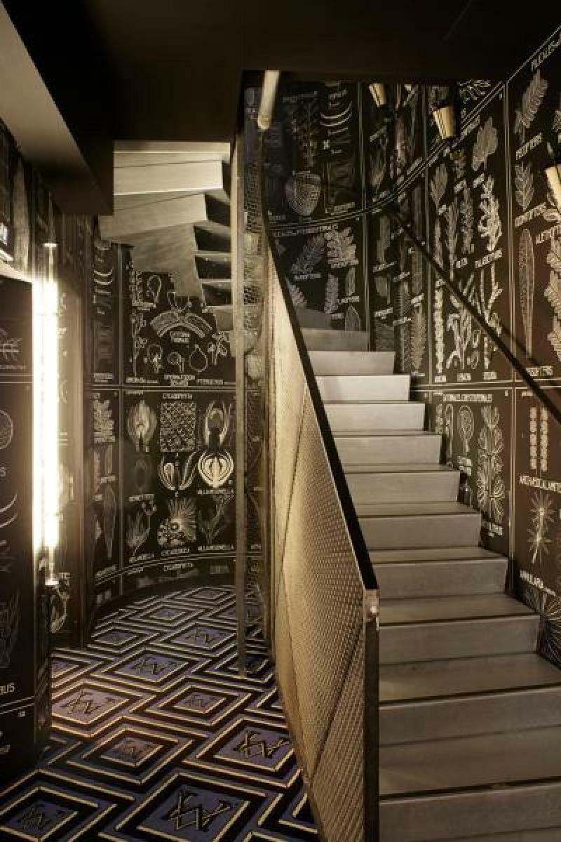 The Place To Be In Saint Germain Des Pres - Montana 2 2* Parijs